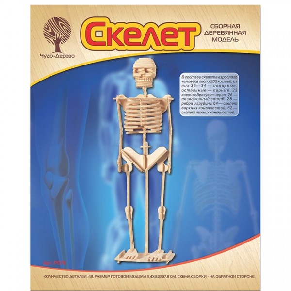 Деревянный конструктор Скелет человека P076