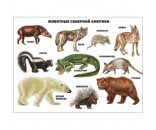 Плакат Животные Северной Америки 978-5-378-07781-6