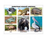 Плакат Животные Южной Америки 978-5-378-17365-5