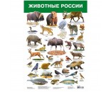 Плакат Животные России 2986