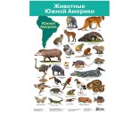 Плакат Животные Южной Америки 2882