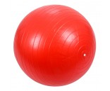 Мяч для фитнеса 55 см. 141-21-59