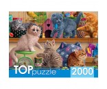 Пазл 2000 Смешные котята в зоомагазине ХТП2000-1596