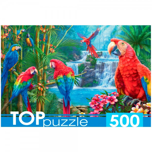 Пазл 500 Яркие попугаи ХТП500-6975