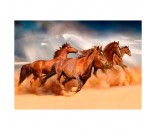 Набор для творчества Роспись по холсту Бегущие лошади в пустыне 40*50см ХК-8014