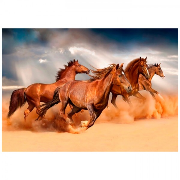Набор для творчества Роспись по холсту Бегущие лошади в пустыне 40*50см ХК-8014